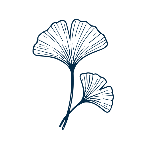 Ginko leaf