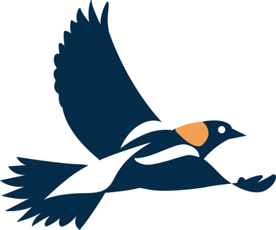 Bobolink in flight